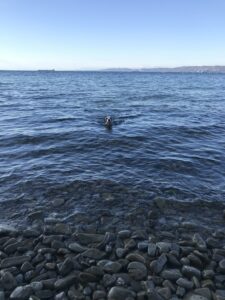 Zanet, di bella presenza, raffinata, solare, Venezia - Club di Più