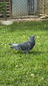 Fabio     427967 - Club di Più